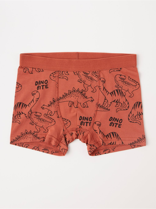 Bokser shorts med dinosaurus