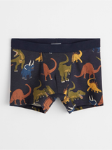 Boxer shorts med dinosaurus