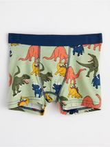 Boxer shorts med dinosaurus