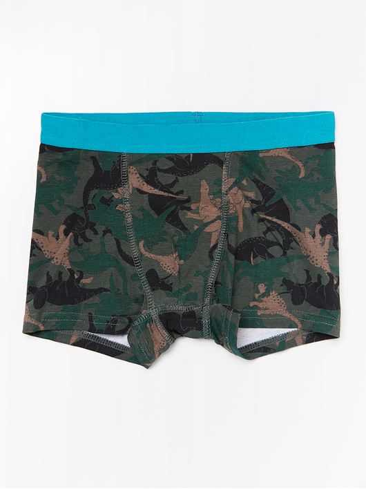 Boxer shorts med dinosaur print