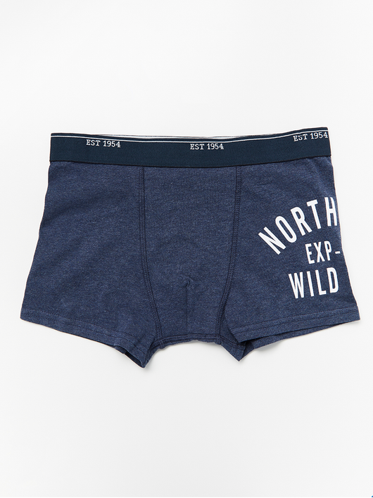 Blå boxer shorts med print