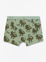 Grønne boxer shorts med dinosaurus mønstre